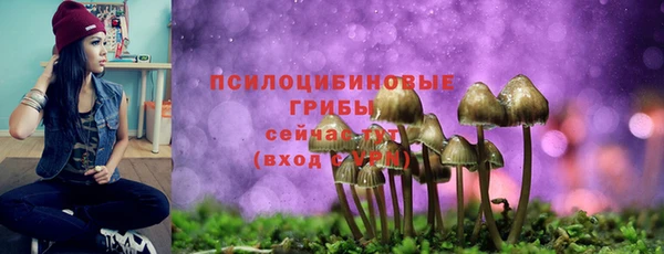 стафф Алзамай